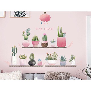 HÌNH DECAL DÁN TƯỜNG CHẬU HOA XƯƠNG RỒNG MÀU HỒNG
