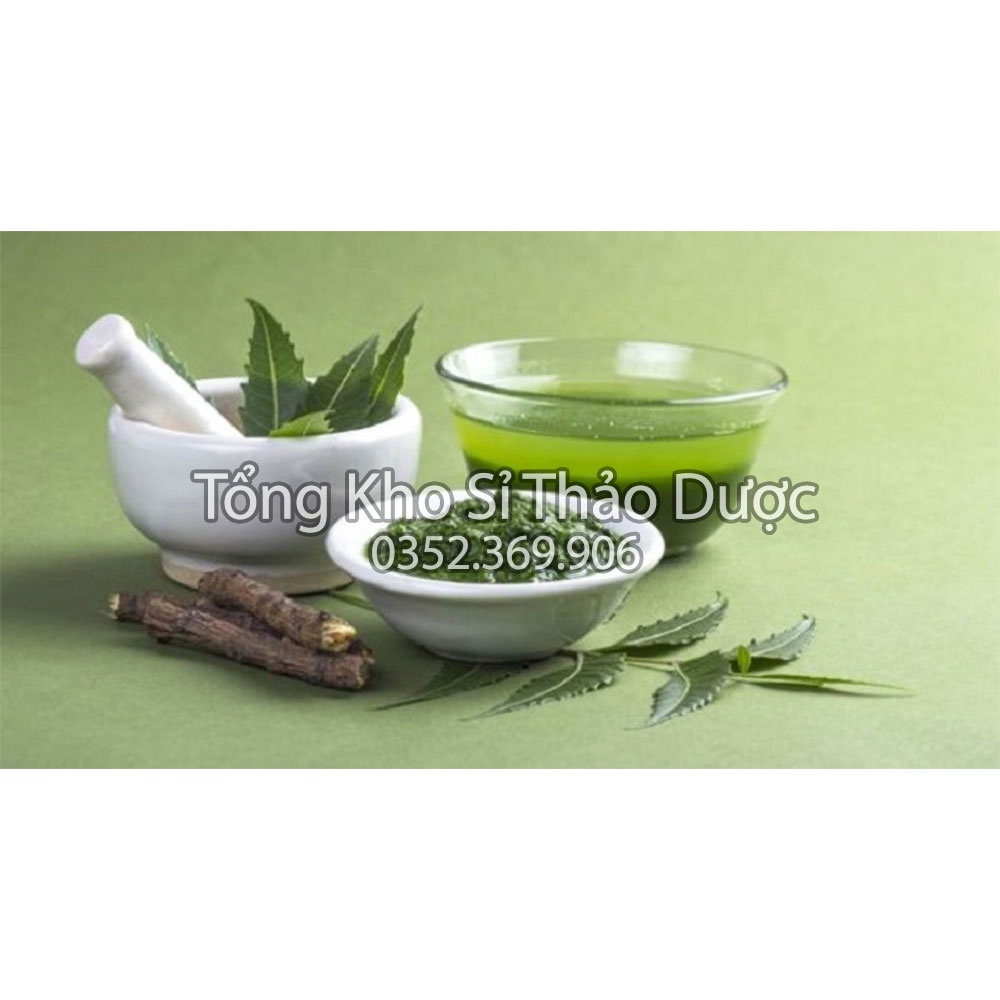 Lá neem khô Ấn Độ 1kg (Ổn định, kiểm soát đường huyết)