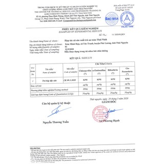 Trà Đinh Nõn Thái Ninh 100G (1 gói 100g)