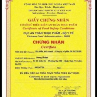 Men sống hồng sâm