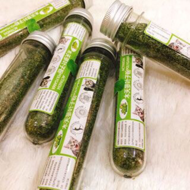 Catnip bạc hà "Cỏ" cho quàng thượng phê pha - ống 10g
