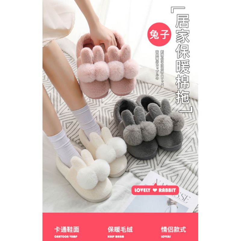 DÉP LÔNG ĐI TRONG NHÀ