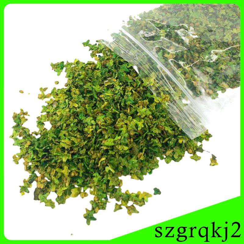 Mô Hình Lá Tĩnh 33ml Trang Trí Bàn Cát Làm Việc