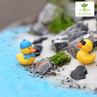 Cặp Vịt sành điệu trang trí - tiểu cảnh
