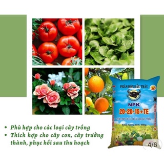 Phân bón Đầu Trâu 20 20 15+TE (1kg)