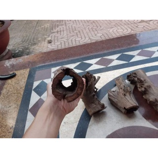 Lũa Ống rỗng cho hồ thủy sinh - vân gỗ đẹp