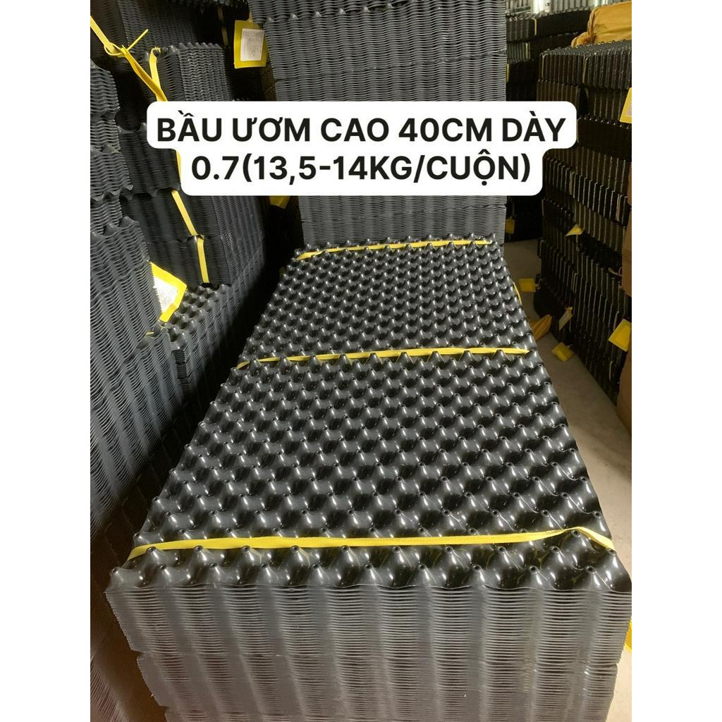 50M BẦU ƯƠM CAO 40CM DÀY 0.7 HÀNG LOẠI 1(13,5-14KG/CUỘN)