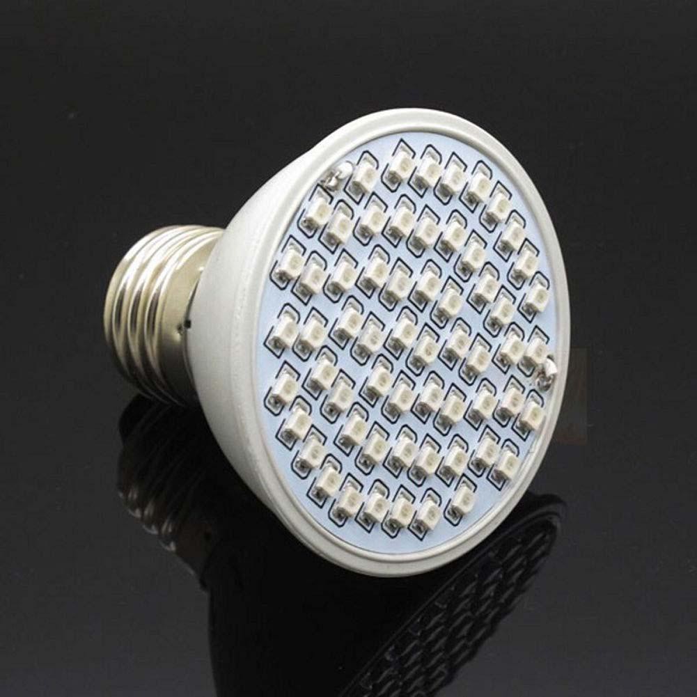 18 / 60 Đèn Led Huỳnh Quang Giúp Cây Phát Triển