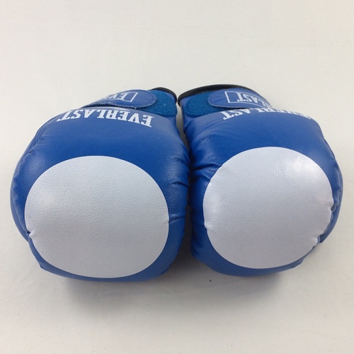 Găng đấm boxing Everlast 12oz