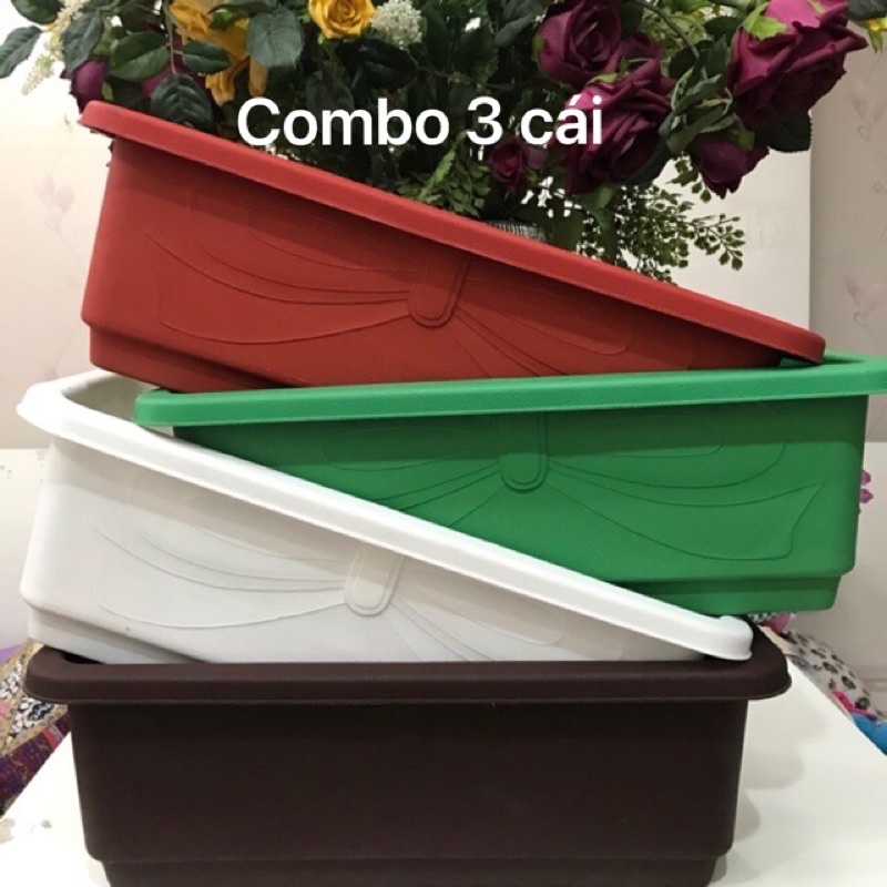 combo 3 khay trồng rau dài 48cm