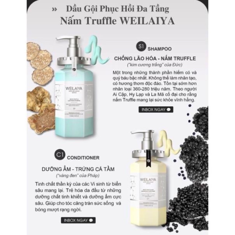 (TẶNG KÈM TÚI+LƯỢC GỘI ĐẦU+BÔNG TẮM ) Cặp dầu gội xả Truffle Weilaiya phục hồi tóc khô xơ, hư tổn chai 450ml - CO01