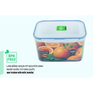 HỘP NHỰA BIOZONE KB-CO6500P
