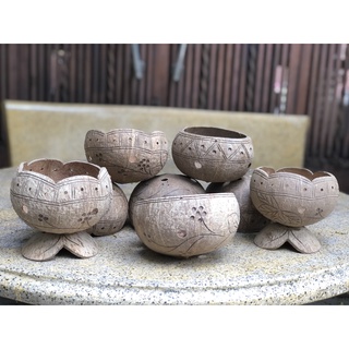 CHẬU GÁO DỪA BẾN TRE Gáo Dừa Trồng Cây | Gáo Trồng Lan | Gáo Dừa Giá Rẻ