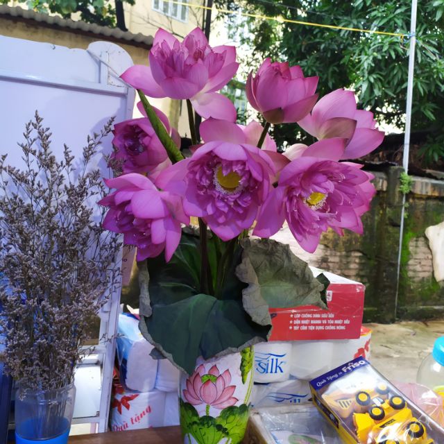 Sỉ đồ khuyến mại Hà Nội