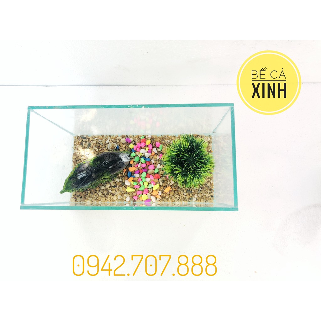 🐠Bể cá cảnh kích thước 25x13x15cm (tặng sỏi trang trí)