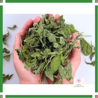 Cây bạc hà sấy khô nguyên chất 1 kg
