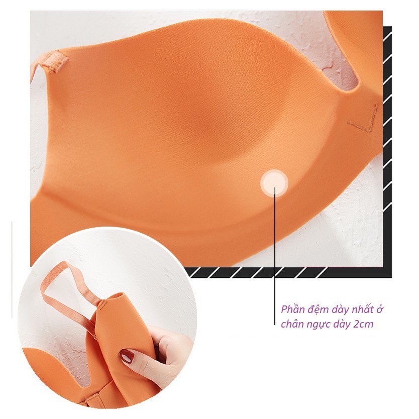 Áo Ngực Nữ Đúc Su Vanevne Hình Mèo Không Gọng Đệm Mỏng Định Hình Ngực Phù Hợp Ngực To, Sệ Ôm Tròn Tự Nhiên A424 | BigBuy360 - bigbuy360.vn