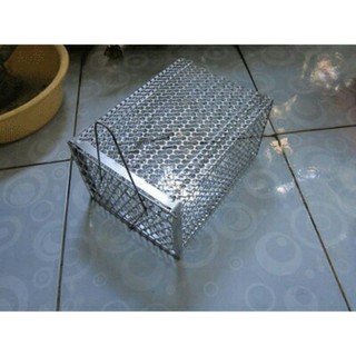 LỒNG BẪY CHUỘT