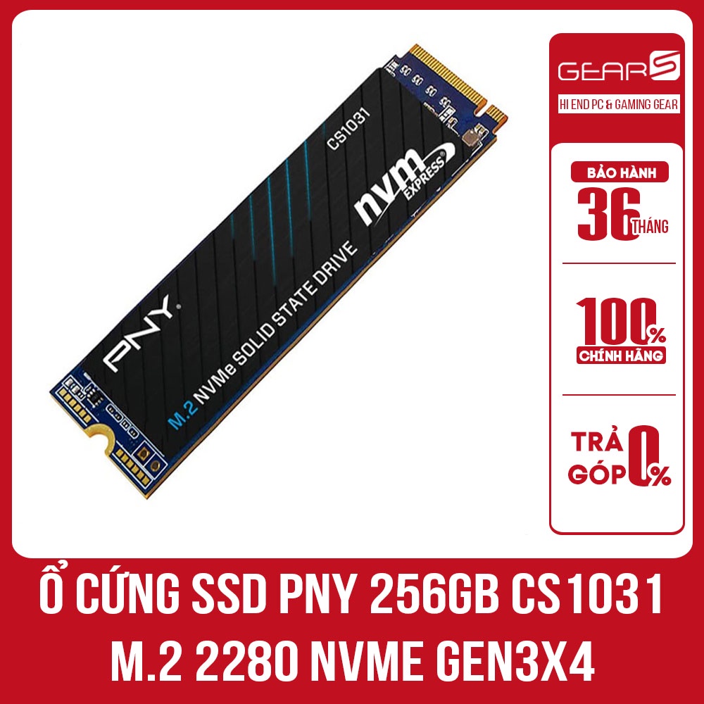 Ổ cứng SSD PNY NVMe 256GB 500GB Gen3x4 - Bảo hành chính hãng 36 Tháng thumbnail