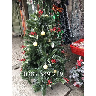 Cây thông noel 3 loại lá gắn trái đỏ 1m2