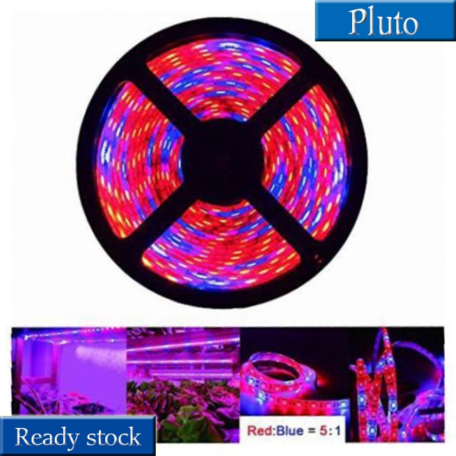 Dải đèn LED quang phổ 5M 12V hỗ trợ trồng cây tiện dụng cho sân vườn