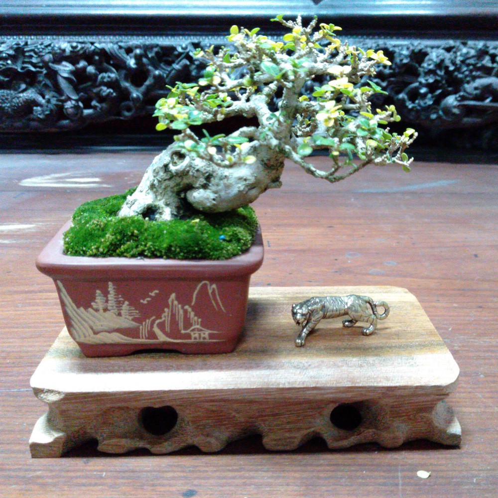 Hổ mini bằng đồng giá rẻ làm phụ kiện tiểu cảnh, phụ kiện bàn trà, trang trí bonsai, làm móc khóa | BigBuy360 - bigbuy360.vn