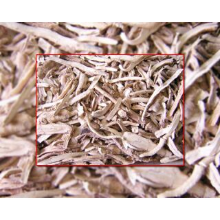 mẫu đan bì ( đơn bì)