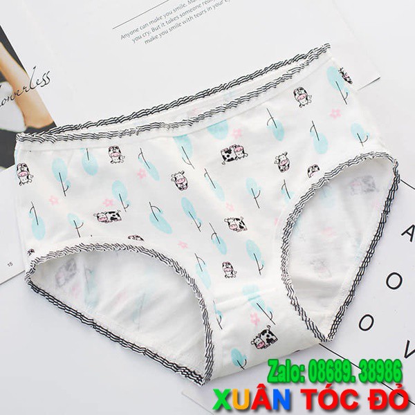 SỈ ZALO RẺ HƠN NHIỀU_ Quần Lót Xin Chào Bò Sữa Dễ Thương 5062 | BigBuy360 - bigbuy360.vn
