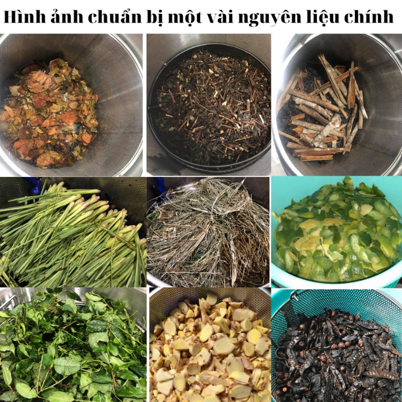 Dầu gội thảo dược thiên nhiên bồ kết bưởi cô đặc organic handmade tự nấu thủ công dưỡng ngăn ngừa rụng tóc OGANICO 3