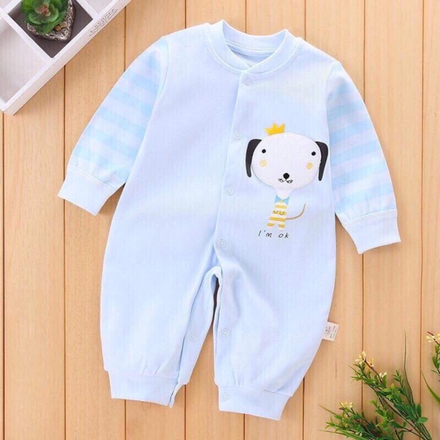 Body liền thân nhiều mẫu