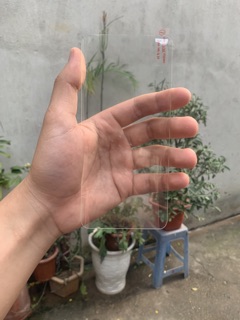 Cường lực keo UV Oneplus 7pro