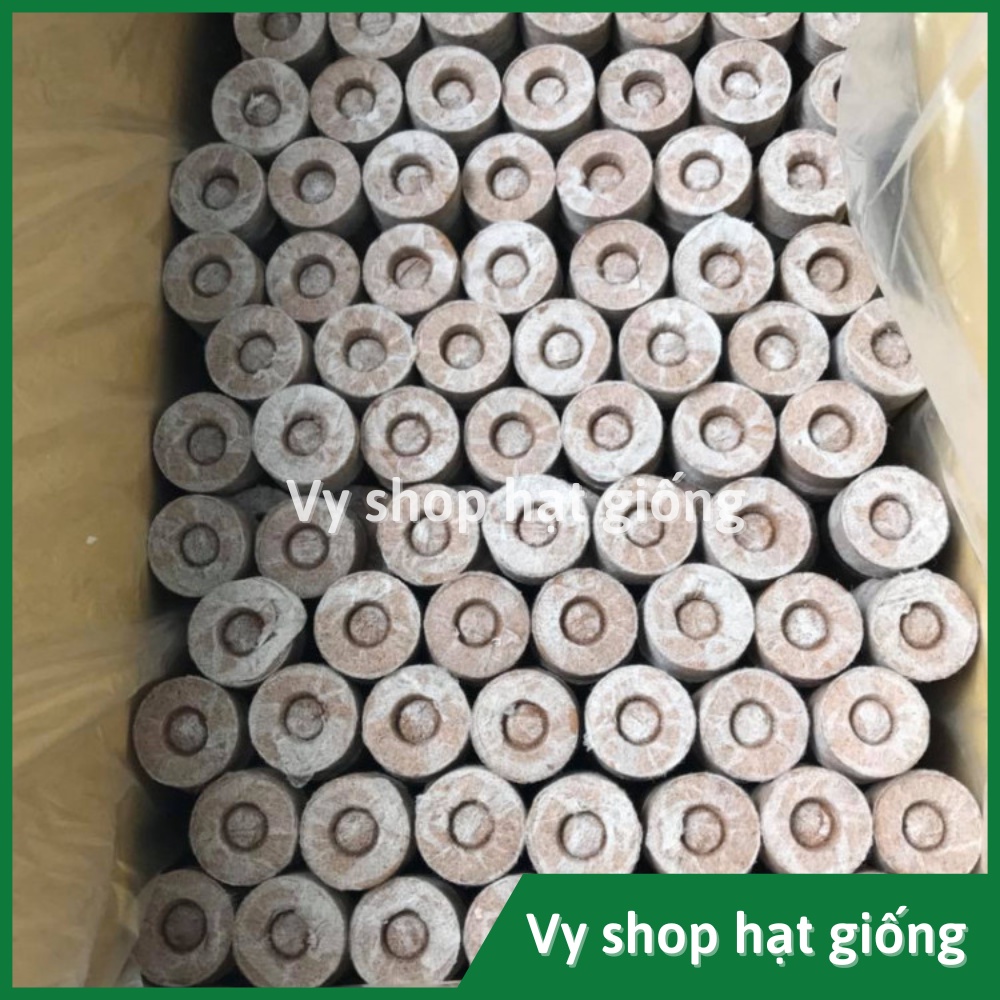 Set 10 viên nén xơ dừa ươm hạt giống