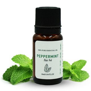 Tinh Dầu Bạc Hà Nguyên Chất 10ml