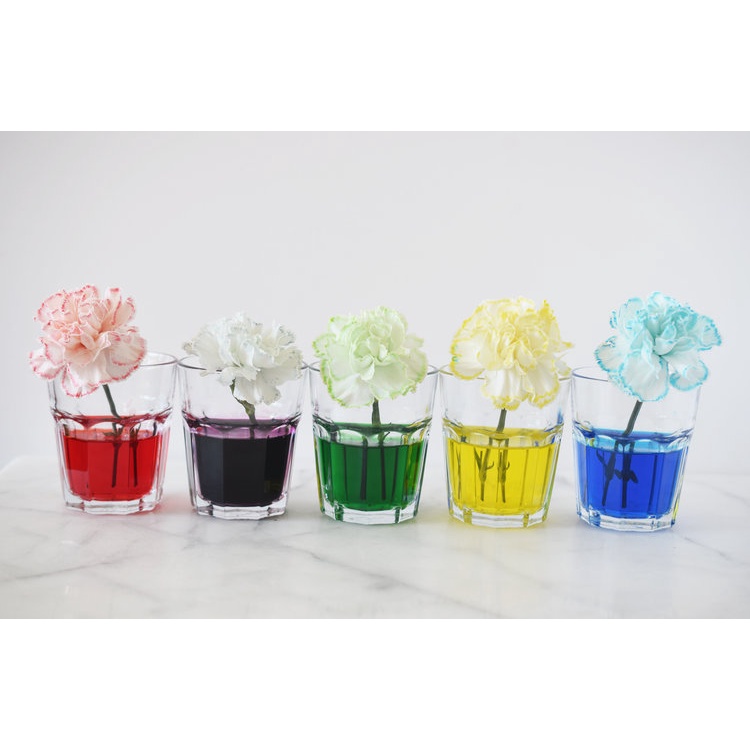 Màu thực phẩm dạng bột gói 100g