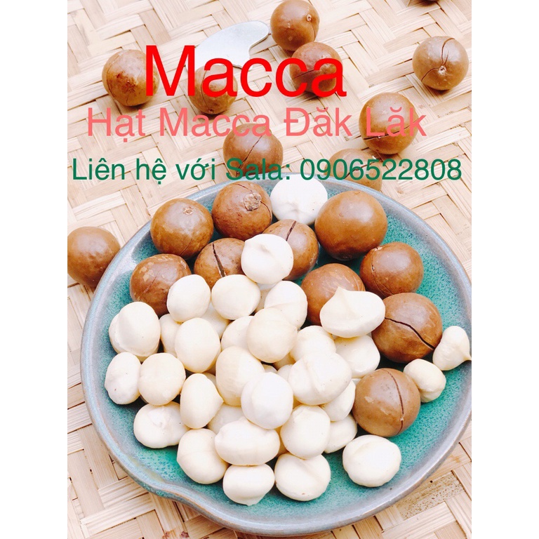 Hạt Macca sấy nứt vỏ 500gr, hạt nhà trồng, thu hoach, chế biến bán thủ công tại Đăk Lăk