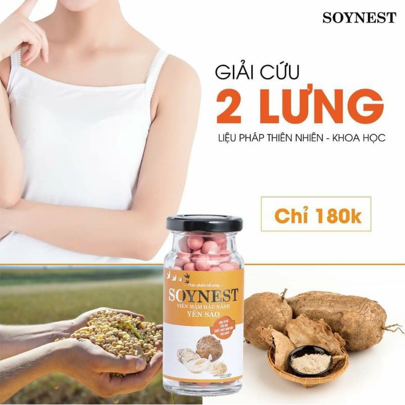 [CAM KẾT CHÍNH HÃNG] Viên mầm đậu nành Yến sào Soynest_ Sâm nhũ yến Soynest Shido Japan