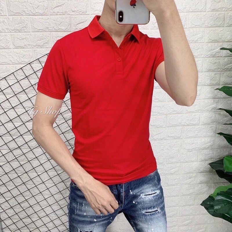 Áo thun nam cao cấp | BigBuy360 - bigbuy360.vn