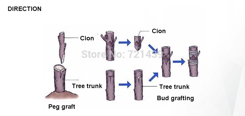 DAO GHÉP CÂY CÁN NHỰA CMART