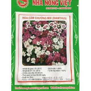 Hạt giống hoa cẩm chướng mix