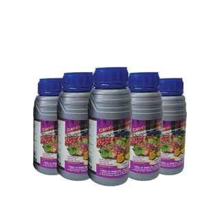Phân bón Canxi Bo Magiê (Chai 500ml đậm đặc) CanxiBo Magiê phân hóa mầm hoa, ra hoa đồng loạt, dưỡng hoa