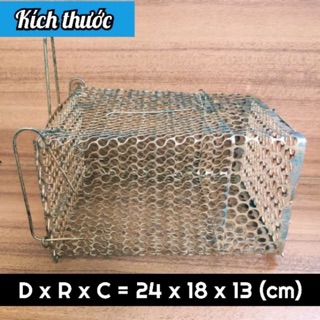 Bẫy Lồng Chuột Có Khoá