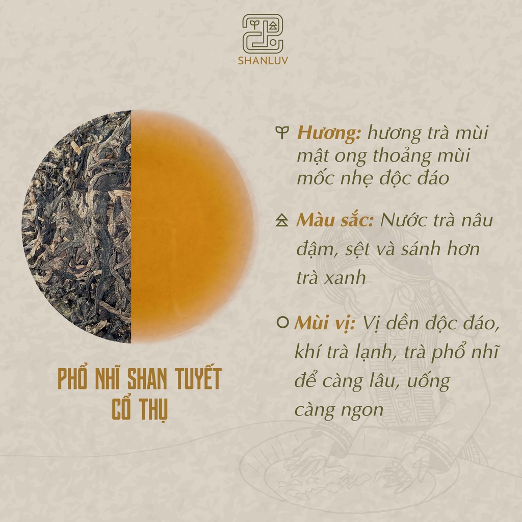 Trà Shan Tuyết Cổ Thụ Cây 300 Tuổi Hà Giang 10 loại SHANLUV Thơm Mật Hậu Ngọt, Bền Nước 8gr | BigBuy360 - bigbuy360.vn