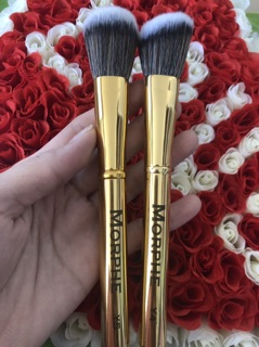 Cọ lẻ Morphe