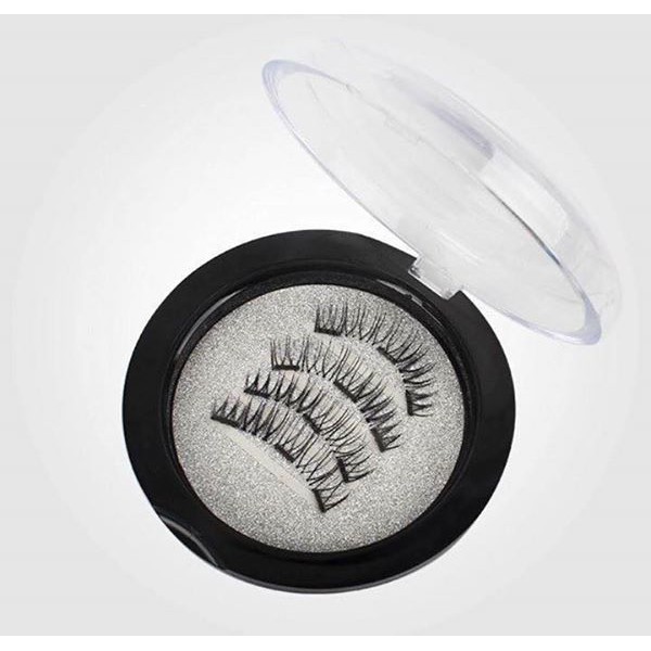 Mi từ tính nam châm