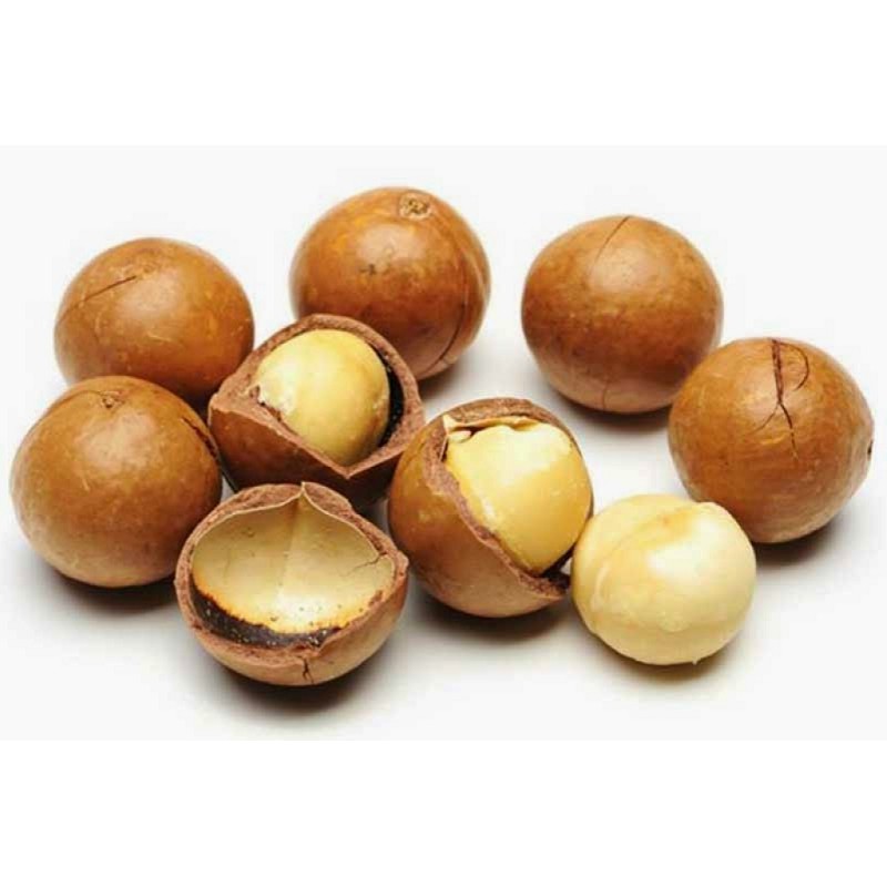 Hạt mắc ca Úc Macadamia Mourad's 500g tốt cho sức khỏe bà bầu, trẻ nhỏ, bổ sung dinh dưỡng ( tặng tách vỏ )Golovinshop | BigBuy360 - bigbuy360.vn