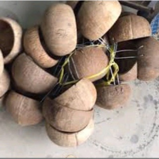 Gáo dừa đựng thức ăn ,uống cho gà combo 10c