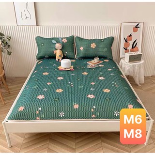 Chiếu Cao Su Non Điều Hoà