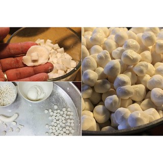 Trân châu nhân dừa Trắng - sống