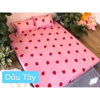 set ga gối poly cottong 3 món