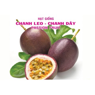 Hạt giống chanh dây - chanh leo - gói 100 hạt